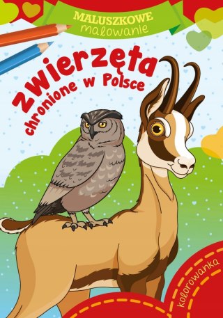 Maluszkowe malowanie Zwierzęta chronione w Polsce