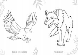 Maluszkowe malowanie Zwierzęta chronione w Polsce