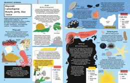 Przyroda jest wszędzie Śledztwo w sprawie organizm