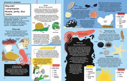 Przyroda jest wszędzie Śledztwo w sprawie organizm