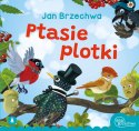 Ptasie Plotki Jan Brzechwa Bajki Brzechwy