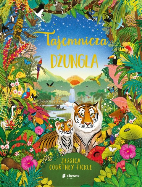 Tajemnicza dżungla książka edukacyjna