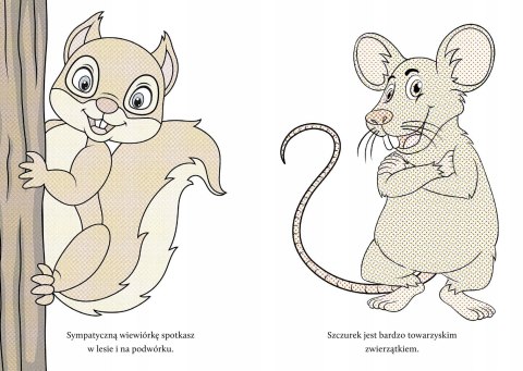 Wyczaruj Gryzonie Malowanka Wodna Maluj Wodą