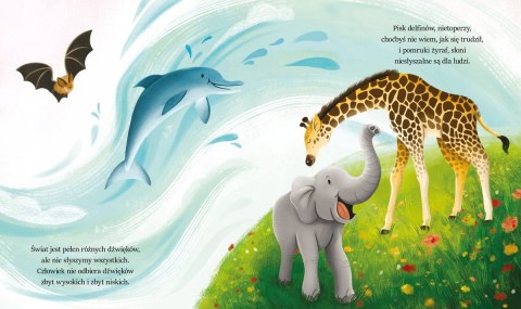 Zmysły Strzałkowska Małgorzata