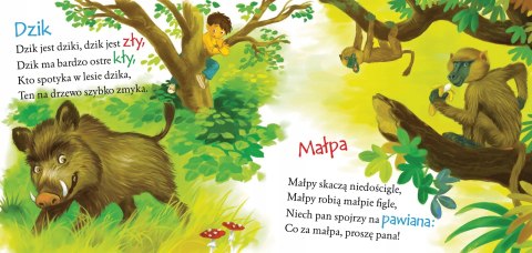 Zoo Jan Brzechwa opr. Miękka Bajki Brzechwy