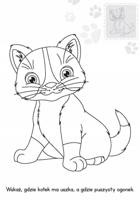 Brzdące kolorują Kotki Malowanka Kolorowanka