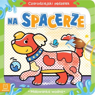 Czarodziejski pędzelek Na spacerze Malowanka wodna Aksjomat