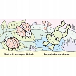 Czarodziejski pędzelek Na spacerze Malowanka wodna Aksjomat