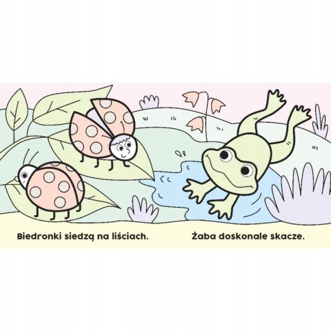 Czarodziejski pędzelek Na spacerze Malowanka wodna Aksjomat