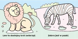 Czarodziejski pędzelek. W Zoo Malowanka wodna Aksjomat