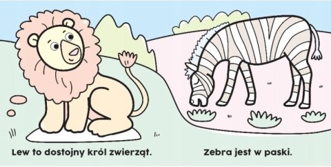 Czarodziejski pędzelek. W Zoo Malowanka wodna Aksjomat