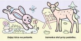 Czarodziejski pędzelek. W lesie Malowanka wodna Aksjomat