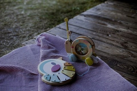 Drewniane cymbałki Ptaszek Pure, Janod 12 m +