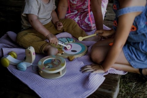 Drewniane cymbałki Ptaszek Pure, Janod 12 m +