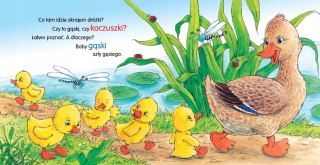 Kaczka Kwa Kwa Bajki Wierszyki Książeczka
