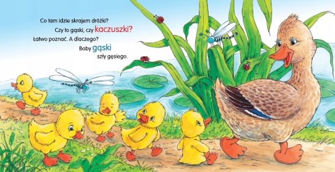 Kaczka Kwa Kwa Bajki Wierszyki Książeczka