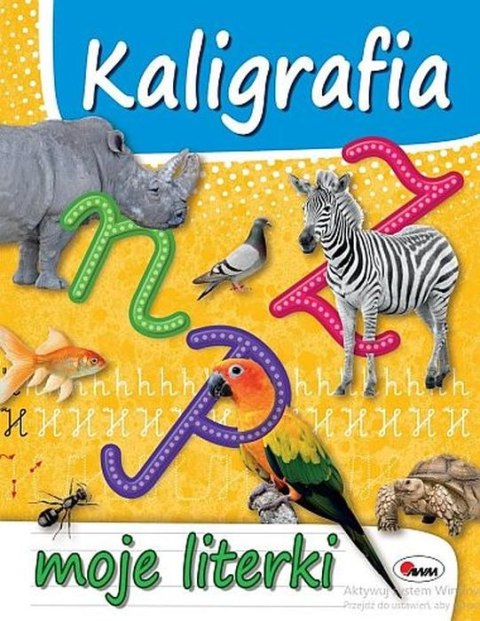 Kaligrafia Moje literki Litery Nauka Pisania