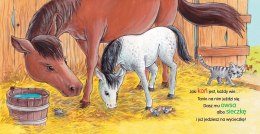 Konik iha, iha Bajki Wierszyki Książeczka