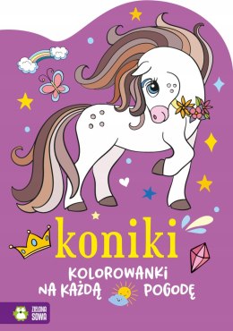 Koniki Kolorowanki na każdą pogodę