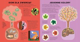 Księga drzew Encyklopedia z folią