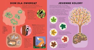 Księga drzew Encyklopedia z folią