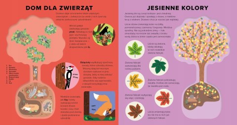 Księga drzew Encyklopedia z folią