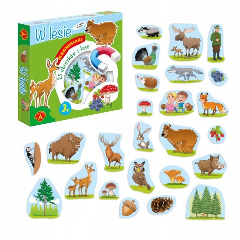 Magnesiaki w Lesie Magnesy na Lodówkę Alexander