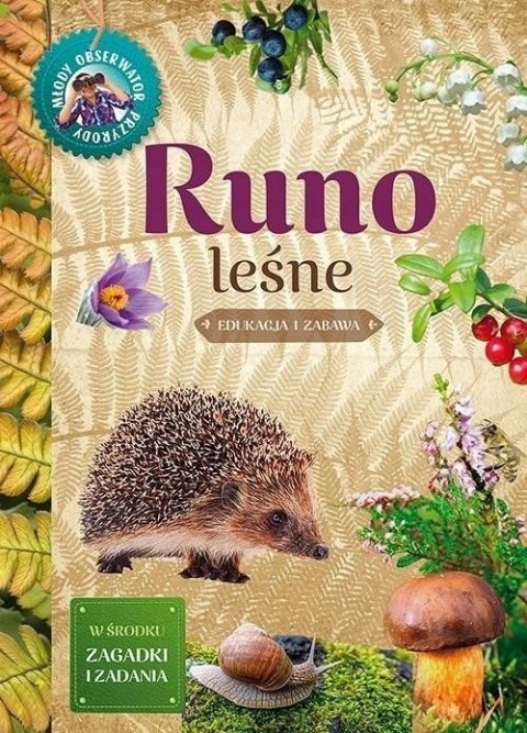 Młody Obserwator Przyrody Runo leśne