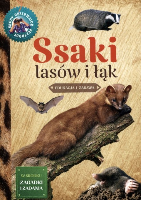Młody Obserwator Przyrody Ssaki lasów i łąk