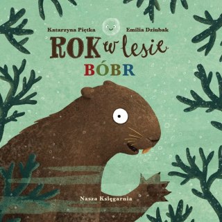 Rok w lesie Bóbr Książka dla Dzieci