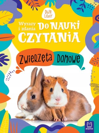 Wyrazy zdania do nauki czytania Zwierzęta Domowe Aksjomat