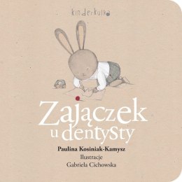 Zajączek u dentysty Książka dla malucha