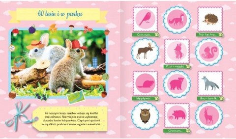 Album z naklejkami. Słodziaki Zwierzaki Zwierzątka Aksjomat