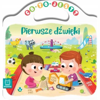 Co to jest? Pierwsze dźwięki Książeczka Maluszka Aksjomat