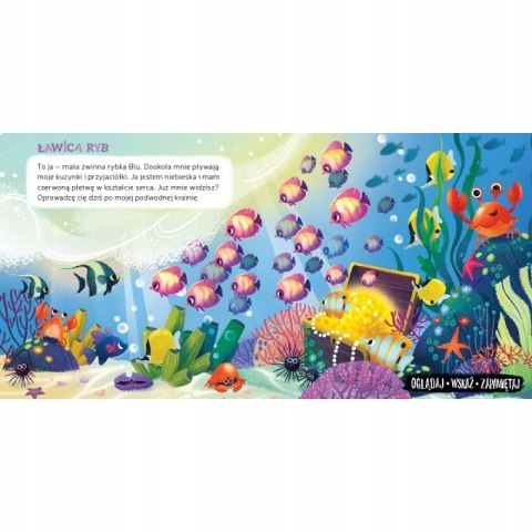 Co zobaczę w Morzu Oglądaj Wskaż Zapamiętaj Aksjomat