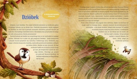 Mądre bajki Greg wydanie specjalne Bajeczki na sen