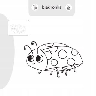 Malowanie doklejanie Owady Kolorowanka + Naklejki