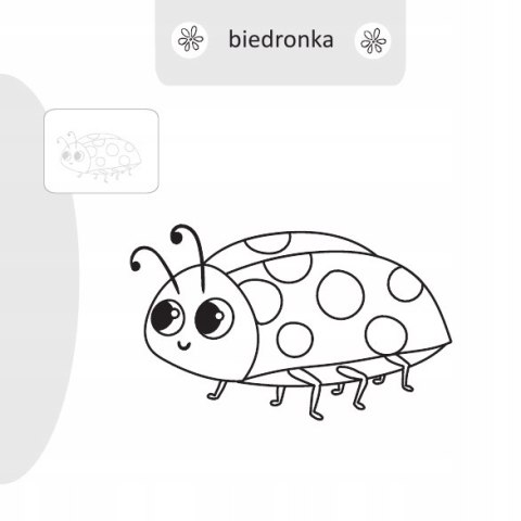 Malowanie doklejanie Owady Kolorowanka + Naklejki
