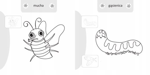 Malowanie doklejanie Owady Kolorowanka + Naklejki