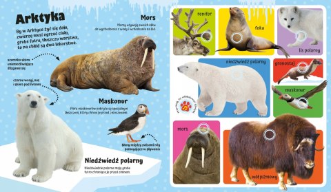 Odgłosy Zwierząt 60 dźwięków Przyciśnij Posłuchaj