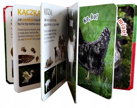 Pogłaszcz Wiejskie zwierzątko Książka Sensoryczna