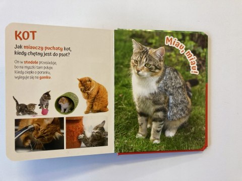 Pogłaszcz Wiejskie zwierzątko Książka Sensoryczna