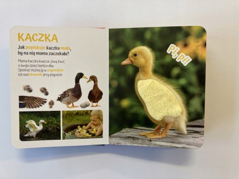 Pogłaszcz Wiejskie zwierzątko Książka Sensoryczna