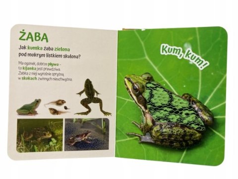 Pogłaszcz Zwierzątko na łące Książka Sensoryczna