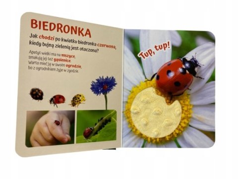 Pogłaszcz Zwierzątko na łące Książka Sensoryczna