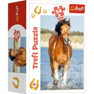 Puzzle 4w1 Świat Koni Konie Mini 4x54 elementów Trefl