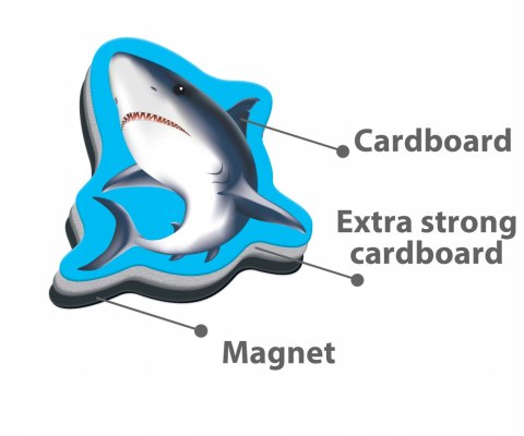 Zestaw magnesów Morskie Zwierzęta Roter Magnesy