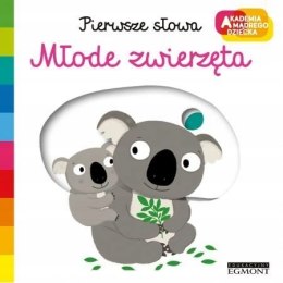 Zwierzęta Akademia Mądrego Dziecka Pierwsze Słowa HarperKids