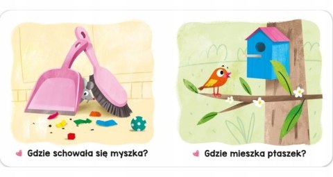 A kuku? Akademia maluszka Książeczka Maluszka Aksjomat