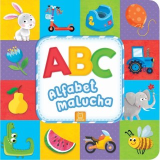 ABC Alfabet malucha Moje Pierwsze Literki Litery Aksjomat